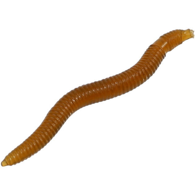 Земляной червь силиконовый Mikado  Trout Campione  37 - 123