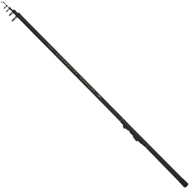 Болонское удилище Mikado Golden Lion Bolognese 500