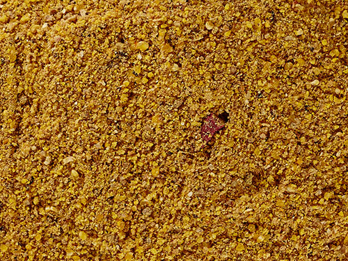 Прикормка летняя Greenfishing Standard Карп 800гр